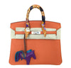 hermes birkin 25 feu new front