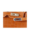 Hermes Birkin 30 Alligator Fauve Barenia New Engraving