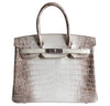 Hermes Birkin 30 Himalayan Crocodile Bag