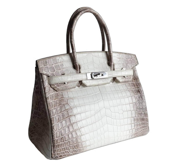 Hermes Birkin 30 Himalayan Crocodile Bag