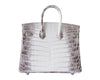 Hermes Birkin 25 Blanc Himalaya Crocodile palladium pristine back