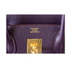 Hermes Birkin 30 Raisin new embossing