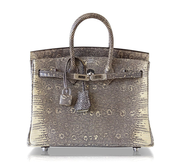 Hermès Birkin 25 Bag Ombre Lizard Palladium pristine front open