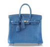 Hermès Birkin 25 Bag Mykonos Lizard Palladium pristine front