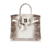 Hermes Birkin 30 Blanc Himalaya Crocodile palladium pristine front open