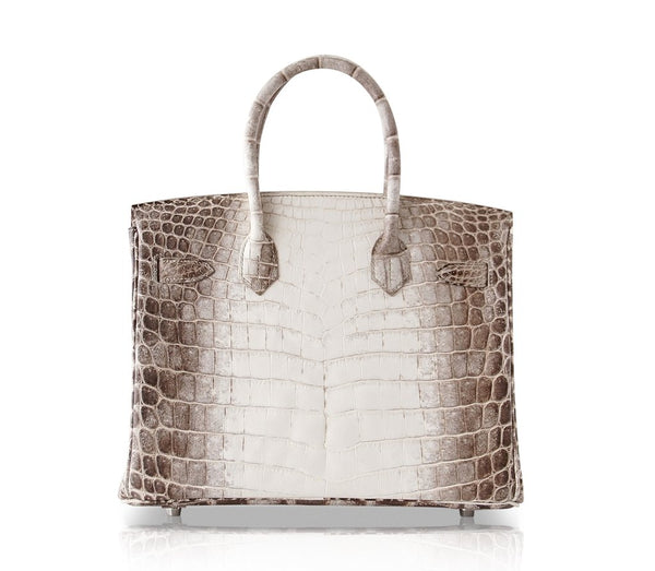 Hermes Birkin 30 Blanc Himalaya Crocodile palladium pristine back