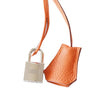 Hermes Birkin 25 Bag Orange Togo