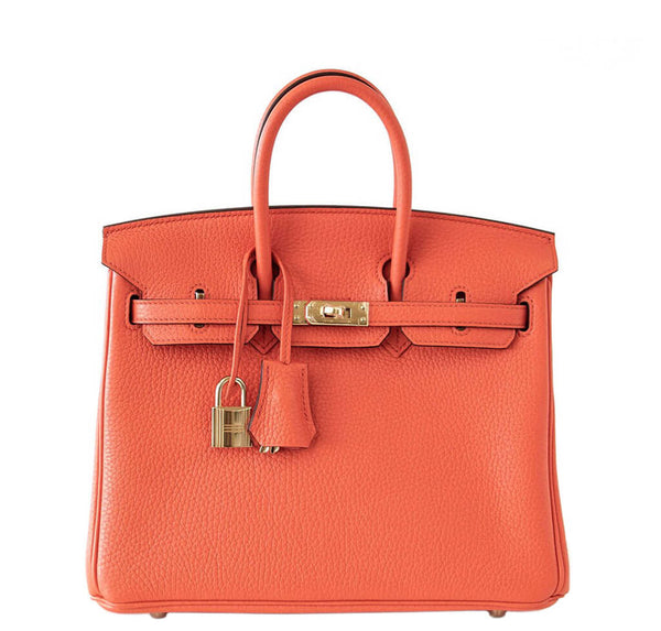 Hermes Birkin 25 Bag Orange Poppy 