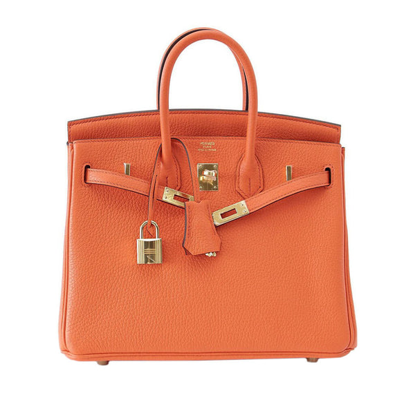 Hermes Birkin 25 Bag Orange Poppy 