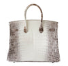 Hermes Birkin 35 Blanc Himalayan Limited Edition Back