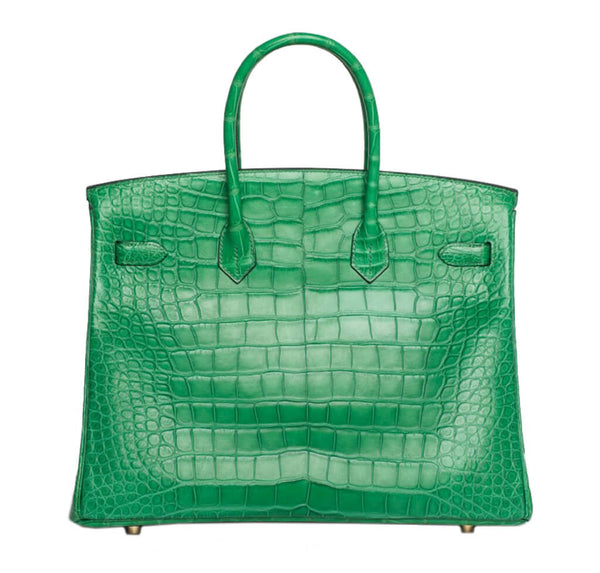 Hermes Birkin 35 Bag Cactus Alligator