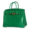 Hermes Birkin 35 Bag Cactus Alligator