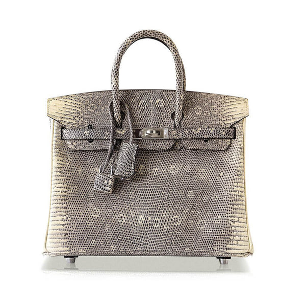 Hermes Birkin 25 Ombre Lizard palladium pristine front